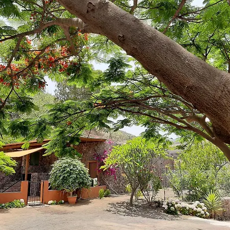 Ferienhaus Peaceful House Set On A Vineyard & Work Friendly