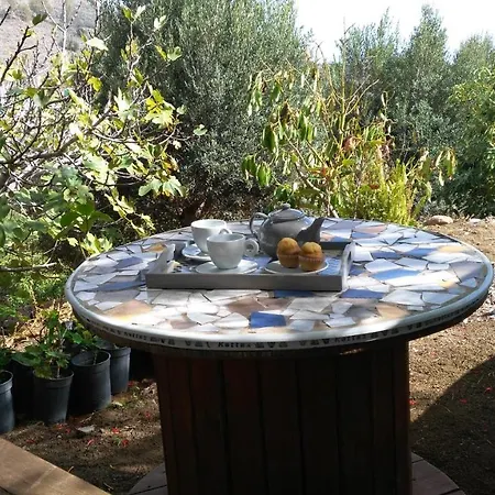 Peaceful House Set On A Vineyard & Work Friendly * Valsequillo de Gran Canaria