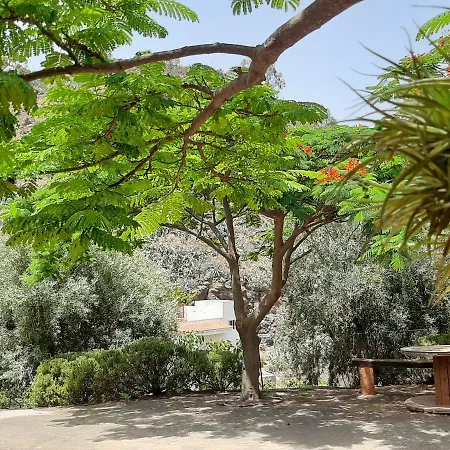 Peaceful House Set On A Vineyard & Work Friendly * Valsequillo de Gran Canaria