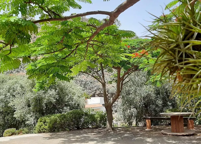 Peaceful House Set On A Vineyard & Work Friendly * Valsequillo de Gran Canaria