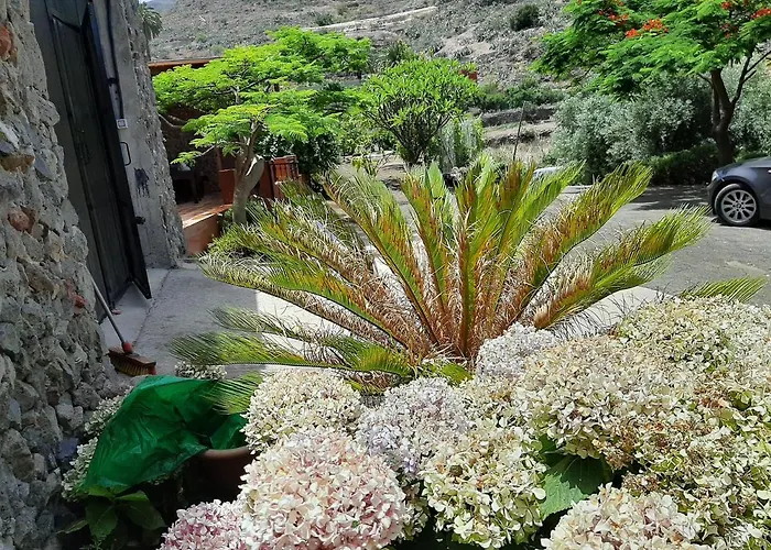 Peaceful House Set On A Vineyard & Work Friendly Valsequillo de Gran Canaria